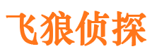 泾川私家调查